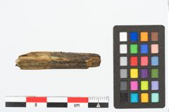 Foto von Holzbruchstücke (NHMW-PRAE-026877)